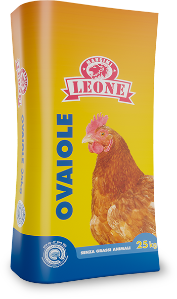 Laying hens - Leone