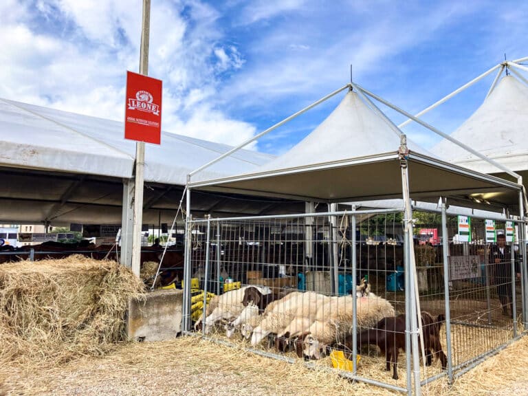 Fiera Agricoltura del Mediterraneo